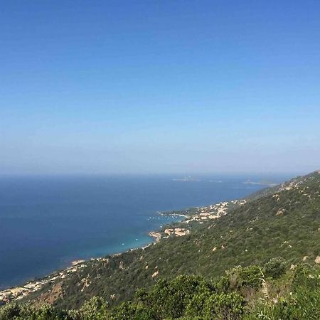 Ajaccio Magnifique T2 Neuf 40M2 Avec Balcon Au Trottel 4 Couchages Wifi Clim Parking Plage A Pieds 100M Εξωτερικό φωτογραφία