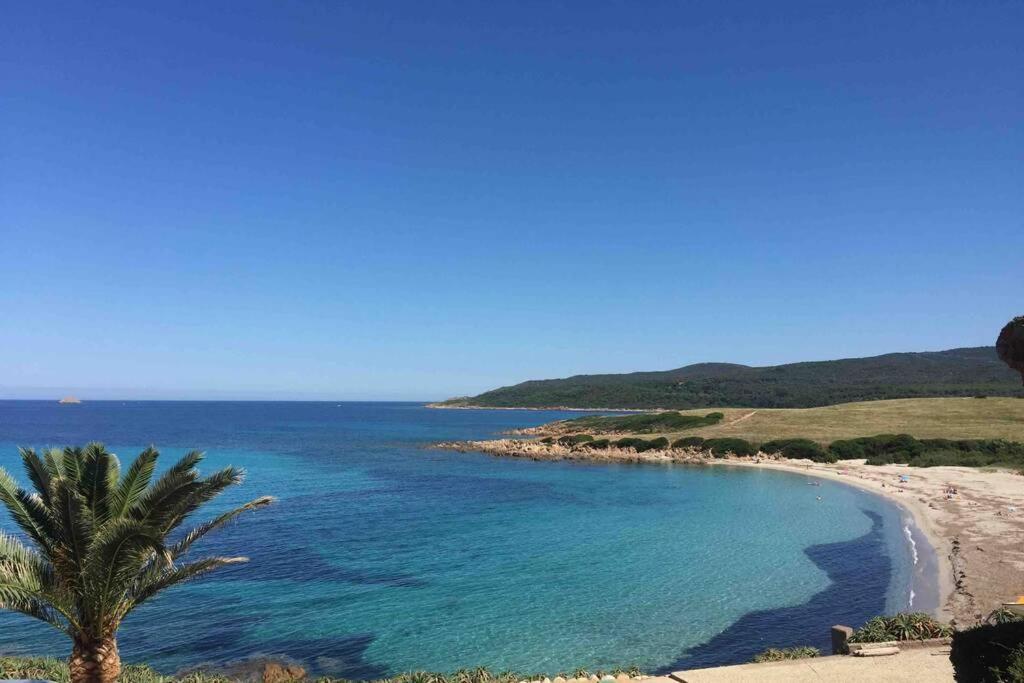 Ajaccio Magnifique T2 Neuf 40M2 Avec Balcon Au Trottel 4 Couchages Wifi Clim Parking Plage A Pieds 100M Εξωτερικό φωτογραφία