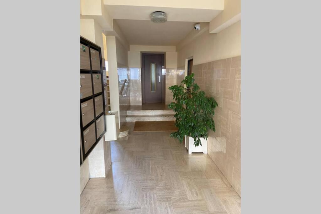 Ajaccio Magnifique T2 Neuf 40M2 Avec Balcon Au Trottel 4 Couchages Wifi Clim Parking Plage A Pieds 100M Εξωτερικό φωτογραφία