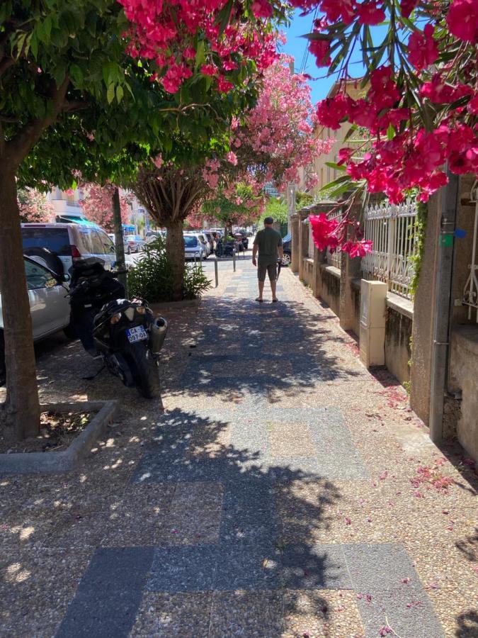 Ajaccio Magnifique T2 Neuf 40M2 Avec Balcon Au Trottel 4 Couchages Wifi Clim Parking Plage A Pieds 100M Εξωτερικό φωτογραφία