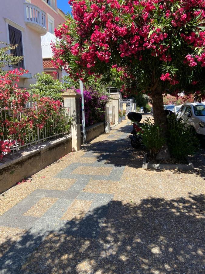 Ajaccio Magnifique T2 Neuf 40M2 Avec Balcon Au Trottel 4 Couchages Wifi Clim Parking Plage A Pieds 100M Εξωτερικό φωτογραφία